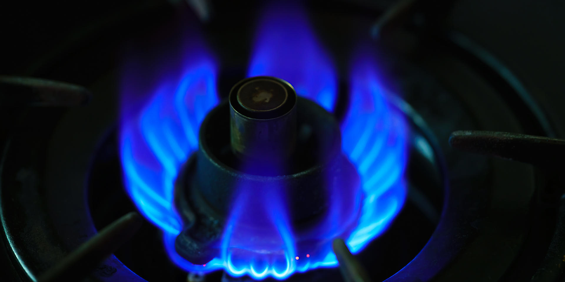 トップイメージ画像4